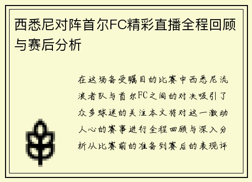 西悉尼对阵首尔FC精彩直播全程回顾与赛后分析
